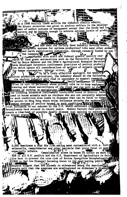 Ty 1  1n & A596 PosltA Tines sticle the industry remtily sinits, o dizact attention vas given to poultry velfare in the develop= g nent ‘of modern systens of managenent except that the birds had to) R mirvive, and be. Cronth g schieve oppmmjevels of prod-Em] X k; rsiaed  5he eystens for optimm production Like many other an g carth explottation pdustciss, through research funded by 47 the taxpayer W " - manded vith stact s pouftry res- SR 7 Tand geant niversities such a: ¥y of Georg! e by Beuce Webater and the USOA’s Agricultural Research Service have developed {ntensive continement practices of poultry peoduct icn vhich fproce sil considerations of velgare of aninals eised conmmpion, \sbatge vrites, ’\ - \ “To b8 Truly effectihs apologtalfoc try ploduction sgriculture, the industry should do the folloving, 2 the’poultoy induat Tind it neccesary to support research, DuL1y maridgenent 5T  ften 1o left topersonne role 18 to keep equipmentl))  ve b [cunning and shose surveillence of. the flock  B | Laspted to diseases that can be fat AIYKH 5  L4 Mar a1c 128 cating veat contantoated ich e. Yol Sioneli, ampyioocter and ghec Tteria tae ProgLatl 1 g  b infant &-Whhuer’.lm 18 known o in!ecl 60 ST 211 U.5. poultry and the U.S. Department of Agricult 17 448 besk o prevint the trve risk of Bovine Spongiform Paceph a0 B Disesze) nconing ko 1o, g prycenting mblicy Riscudies oungest that’BSE ‘afready 1a videspres g the Aner tcani sepis"cal i the gympcns e atkgiagmond an Alwizr.  i  